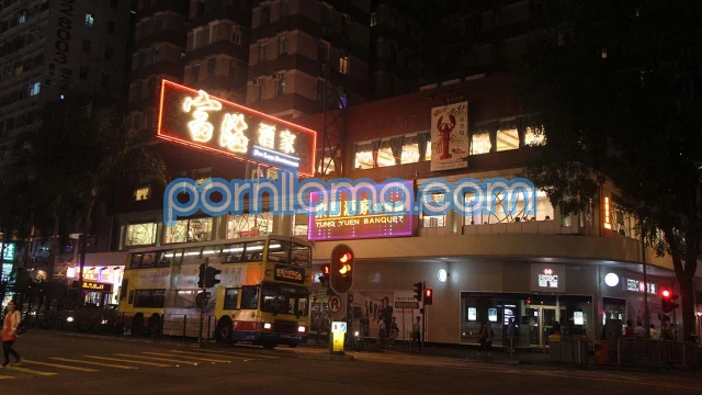 Asian Sex Diary 2025 02 08 Hk Wanchai VisitXXX 4k MP4 WRB